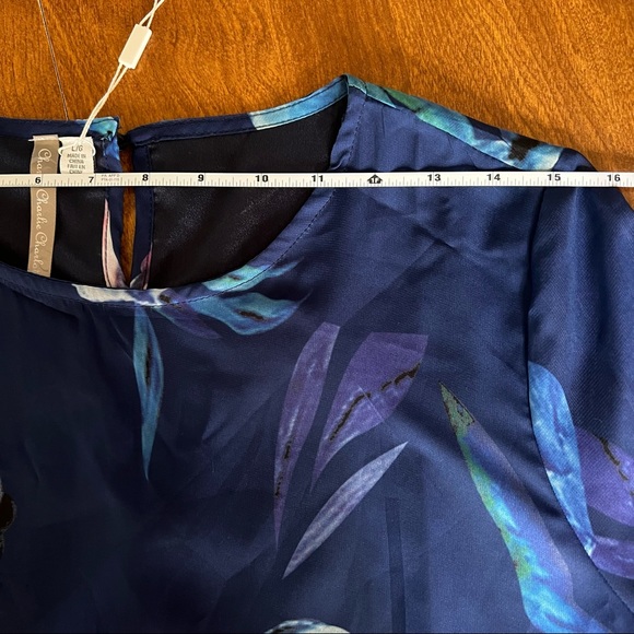 Charlie Charlie Charlotte Blue Multicolor Floral Print Cottagecore dress size L - Picture 9 of 12
